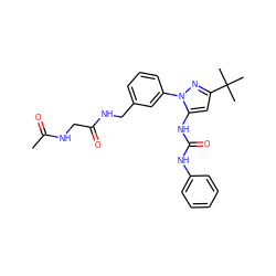 CC(=O)NCC(=O)NCc1cccc(-n2nc(C(C)(C)C)cc2NC(=O)Nc2ccccc2)c1 ZINC000058534804