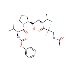 CC(=O)NCC(F)(F)C(=O)[C@@H](NC(=O)[C@@H]1CCCN1C(=O)[C@@H](NC(=O)Oc1ccccc1)C(C)C)C(C)C ZINC000026938302