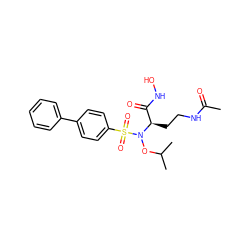 CC(=O)NCC[C@H](C(=O)NO)N(OC(C)C)S(=O)(=O)c1ccc(-c2ccccc2)cc1 ZINC000117100612