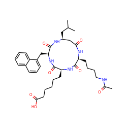 CC(=O)NCCCC[C@@H]1NC(=O)C[C@H](CC(C)C)NC(=O)[C@H](Cc2cccc3ccccc23)NC(=O)[C@H](CCCCCC(=O)O)NC1=O ZINC000049872324