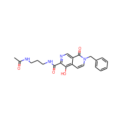 CC(=O)NCCCNC(=O)c1ncc2c(=O)n(Cc3ccccc3)ccc2c1O ZINC000169711080