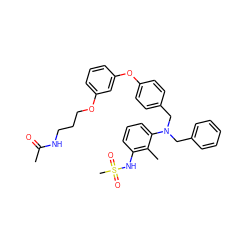 CC(=O)NCCCOc1cccc(Oc2ccc(CN(Cc3ccccc3)c3cccc(NS(C)(=O)=O)c3C)cc2)c1 ZINC000028367190