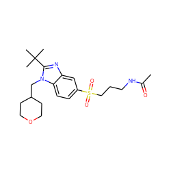 CC(=O)NCCCS(=O)(=O)c1ccc2c(c1)nc(C(C)(C)C)n2CC1CCOCC1 ZINC000029046310