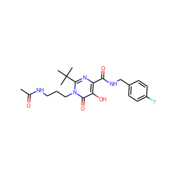 CC(=O)NCCCn1c(C(C)(C)C)nc(C(=O)NCc2ccc(F)cc2)c(O)c1=O ZINC000096940401