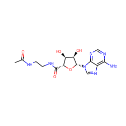 CC(=O)NCCNC(=O)[C@H]1O[C@@H](n2cnc3c(N)ncnc32)[C@H](O)[C@@H]1O ZINC000013861516