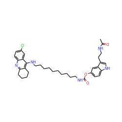 CC(=O)NCCc1c[nH]c2ccc(OC(=O)NCCCCCCCCCCNc3c4c(nc5ccc(Cl)cc35)CCCC4)cc12 ZINC000221458176