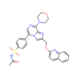 CC(=O)NS(=O)(=O)c1ccc(-c2cnc(N3CCOCC3)c3nc(COc4ccc5ccccc5n4)cn23)cc1 ZINC001772631310