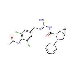 CC(=O)Nc1c(Cl)cc(C/N=C(\N)NC(=O)[C@@H]2[C@@H]3C[C@@H]3CN2c2ccccc2)cc1Cl ZINC000142847068