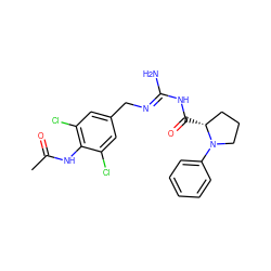 CC(=O)Nc1c(Cl)cc(C/N=C(\N)NC(=O)[C@@H]2CCCN2c2ccccc2)cc1Cl ZINC000142826409