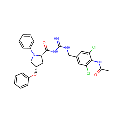 CC(=O)Nc1c(Cl)cc(CNC(=N)NC(=O)[C@@H]2C[C@H](Oc3ccccc3)CN2c2ccccc2)cc1Cl ZINC000473158143