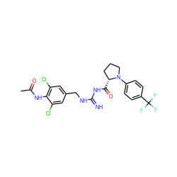 CC(=O)Nc1c(Cl)cc(CNC(=N)NC(=O)[C@@H]2CCCN2c2ccc(C(F)(F)F)cc2)cc1Cl ZINC000473154679