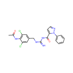 CC(=O)Nc1c(Cl)cc(CNC(=N)NC(=O)c2ccnn2-c2ccccc2)cc1Cl ZINC000473158392