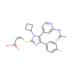 CC(=O)Nc1cc(-c2c(-c3ccc(F)cc3)nc(S/C=C\C(=O)O)n2C2CCC2)ccn1 ZINC000299857105