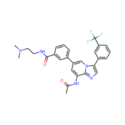 CC(=O)Nc1cc(-c2cccc(C(=O)NCCN(C)C)c2)cn2c(-c3cccc(C(F)(F)F)c3)cnc12 ZINC000061902804