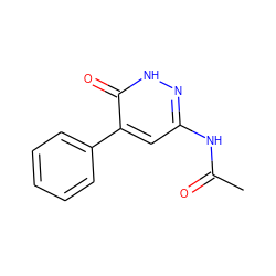 CC(=O)Nc1cc(-c2ccccc2)c(=O)[nH]n1 ZINC000095601086