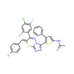 CC(=O)Nc1cc(-c2ccccc2)c(-c2nnc3n2N=C(c2cc(F)c(Cl)cc2Cl)/C(=C/c2ccc(Cl)cc2)S3)s1 ZINC000028823792