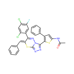 CC(=O)Nc1cc(-c2ccccc2)c(-c2nnc3n2N=C(c2cc(F)c(Cl)cc2Cl)/C(=C/c2ccccc2)S3)s1 ZINC000028823788