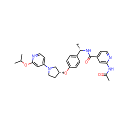 CC(=O)Nc1cc(C(=O)N[C@@H](C)c2ccc(O[C@@H]3CCN(c4ccnc(OC(C)C)c4)C3)cc2)ccn1 ZINC000169709442