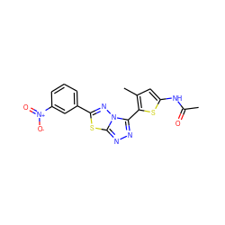 CC(=O)Nc1cc(C)c(-c2nnc3sc(-c4cccc([N+](=O)[O-])c4)nn23)s1 ZINC000028826956