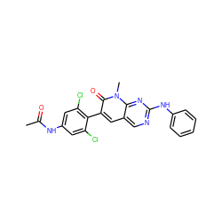 CC(=O)Nc1cc(Cl)c(-c2cc3cnc(Nc4ccccc4)nc3n(C)c2=O)c(Cl)c1 ZINC000028126257