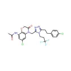 CC(=O)Nc1cc(Cl)cc2c1OCC(=O)N2Cc1nnc(CCc2ccc(Cl)cc2)n1CCC(F)(F)F ZINC000071341091