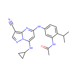 CC(=O)Nc1cc(Nc2cc(NC3CC3)n3ncc(C#N)c3n2)ccc1C(C)C ZINC000096921685