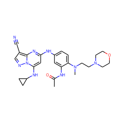 CC(=O)Nc1cc(Nc2cc(NC3CC3)n3ncc(C#N)c3n2)ccc1N(C)CCN1CCOCC1 ZINC000653840674