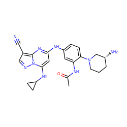 CC(=O)Nc1cc(Nc2cc(NC3CC3)n3ncc(C#N)c3n2)ccc1N1CCC[C@@H](N)C1 ZINC000653813293