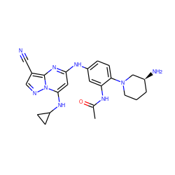 CC(=O)Nc1cc(Nc2cc(NC3CC3)n3ncc(C#N)c3n2)ccc1N1CCC[C@H](N)C1 ZINC000653813292