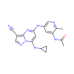 CC(=O)Nc1cc(Nc2cc(NC3CC3)n3ncc(C#N)c3n2)cnc1C ZINC000096911142