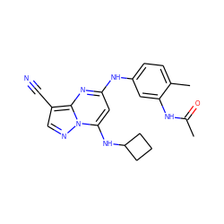 CC(=O)Nc1cc(Nc2cc(NC3CCC3)n3ncc(C#N)c3n2)ccc1C ZINC000096921690