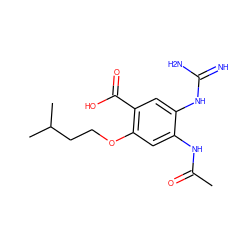 CC(=O)Nc1cc(OCCC(C)C)c(C(=O)O)cc1NC(=N)N ZINC000040980914