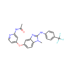 CC(=O)Nc1cc(Oc2ccc3c(c2)nc(Nc2ccc(C(F)(F)F)cc2)n3C)ccn1 ZINC000166995746