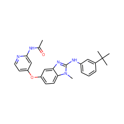 CC(=O)Nc1cc(Oc2ccc3c(c2)nc(Nc2cccc(C(C)(C)C)c2)n3C)ccn1 ZINC000166923914