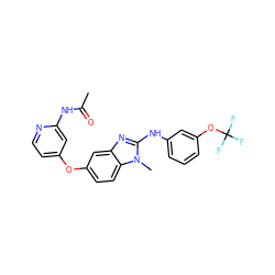 CC(=O)Nc1cc(Oc2ccc3c(c2)nc(Nc2cccc(OC(F)(F)F)c2)n3C)ccn1 ZINC000167693203
