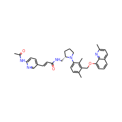 CC(=O)Nc1ccc(/C=C/C(=O)NC[C@@H]2CCCN2c2ccc(C)c(COc3cccc4ccc(C)nc34)c2C)cn1 ZINC000003915815