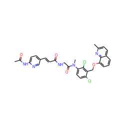 CC(=O)Nc1ccc(/C=C/C(=O)NCC(=O)N(C)c2ccc(Cl)c(COc3cccc4ccc(C)nc34)c2Cl)cn1 ZINC000001893259