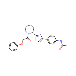 CC(=O)Nc1ccc(-c2csc([C@H]3CCCCN3C(=O)COc3ccccc3)n2)cc1 ZINC000043201324