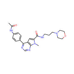 CC(=O)Nc1ccc(-c2ncnc3c2cc(C(=O)NCCCN2CCOCC2)n3C)cc1 ZINC000653853283