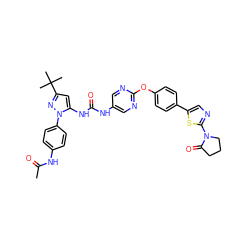 CC(=O)Nc1ccc(-n2nc(C(C)(C)C)cc2NC(=O)Nc2cnc(Oc3ccc(-c4cnc(N5CCCC5=O)s4)cc3)nc2)cc1 ZINC000223442398