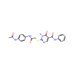 CC(=O)Nc1ccc(NC(=O)CSc2ncc(C(=O)Nc3ccccc3)c(=O)n2C)cc1 ZINC000012236775