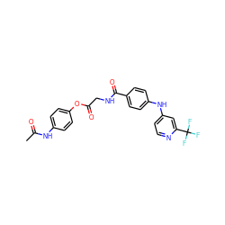 CC(=O)Nc1ccc(OC(=O)CNC(=O)c2ccc(Nc3ccnc(C(F)(F)F)c3)cc2)cc1 ZINC000045389422