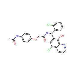 CC(=O)Nc1ccc(OCC(=O)N[C@@H](c2ccccc2Cl)c2cc(Cl)c3cccnc3c2O)cc1 ZINC000040913507