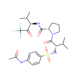 CC(=O)Nc1ccc(S(=O)(=O)N[C@H](C(=O)N2CCC[C@H]2C(=O)N[C@@H](C(=O)C(F)(F)F)C(C)C)C(C)C)cc1 ZINC000029552738