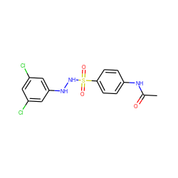 CC(=O)Nc1ccc(S(=O)(=O)NNc2cc(Cl)cc(Cl)c2)cc1 ZINC000299838697