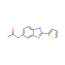 CC(=O)Nc1ccc2[nH]c(-c3cccs3)nc2c1 ZINC000004643259