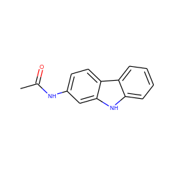 CC(=O)Nc1ccc2c(c1)[nH]c1ccccc12 ZINC000005160864