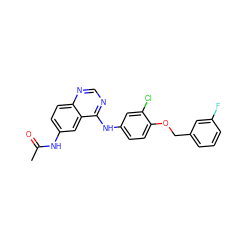 CC(=O)Nc1ccc2ncnc(Nc3ccc(OCc4cccc(F)c4)c(Cl)c3)c2c1 ZINC000653861666