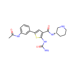 CC(=O)Nc1cccc(-c2cc(C(=O)N[C@H]3CCCNC3)c(NC(N)=O)s2)c1 ZINC000040979751