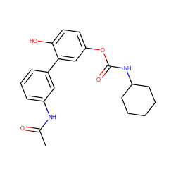 CC(=O)Nc1cccc(-c2cc(OC(=O)NC3CCCCC3)ccc2O)c1 ZINC000096273119